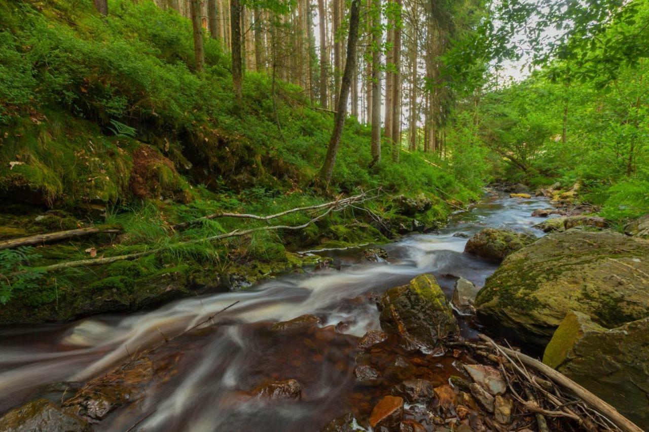 La Mignonne Des Fagnes Сasa de vacaciones Malmedy