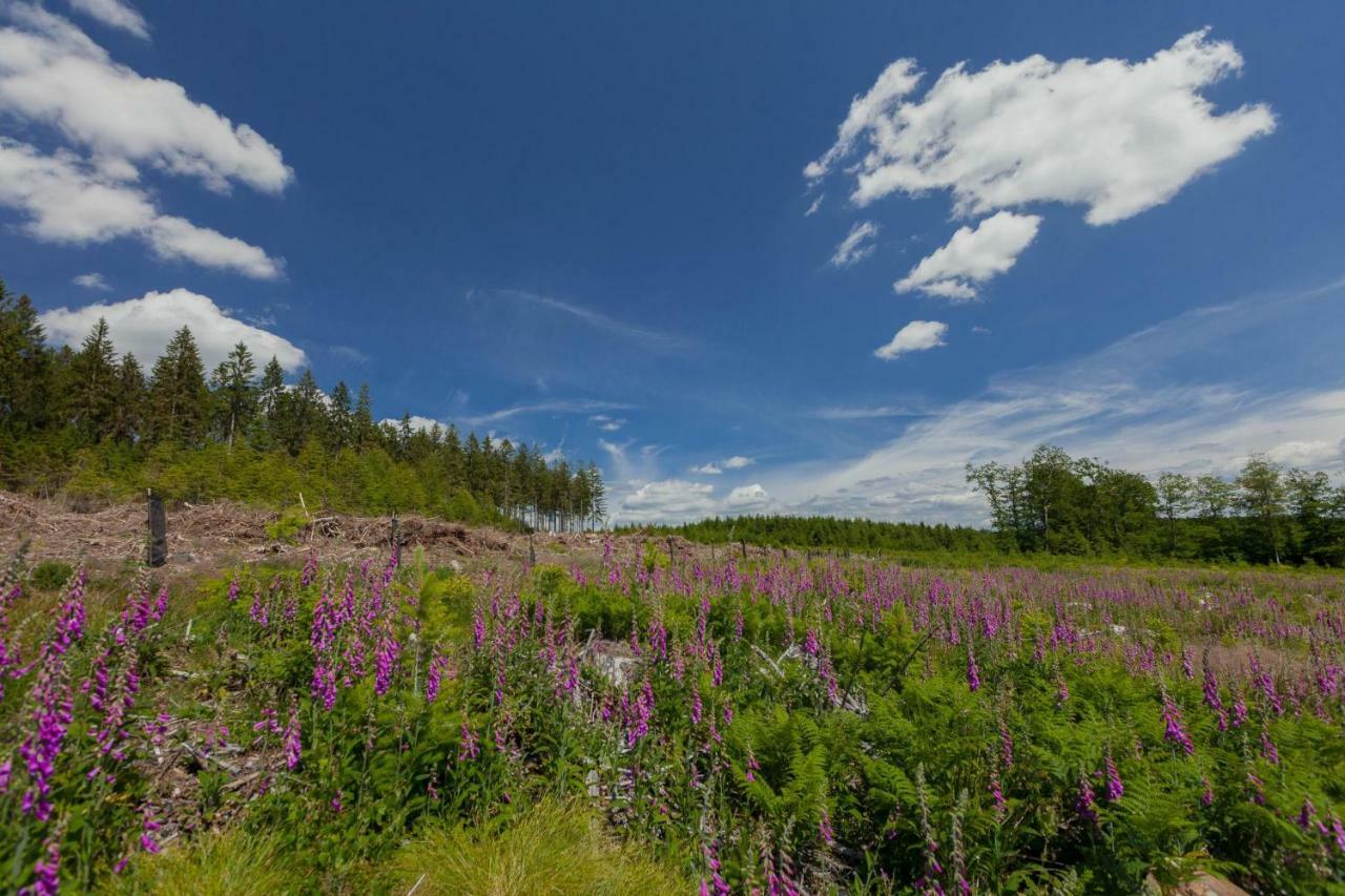 La Mignonne Des Fagnes Сasa de vacaciones *